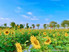 拥轨空三大立体交通收集